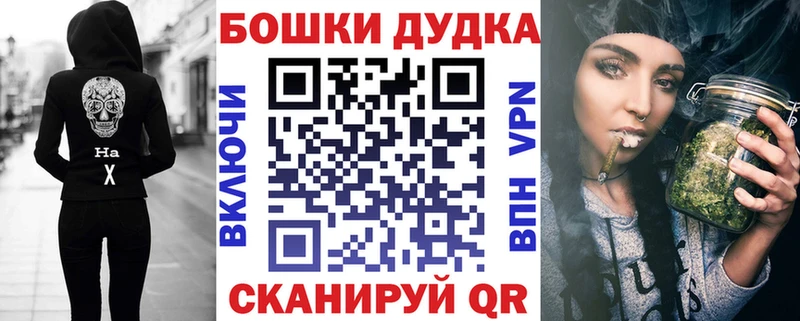 Купить закладку Канабис  Мефедрон  A PVP  ГАШ  ГЕРОИН  Cocaine  Циолковский