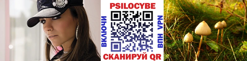 Псилоцибиновые грибы Cubensis  Купить закладки  Циолковский 